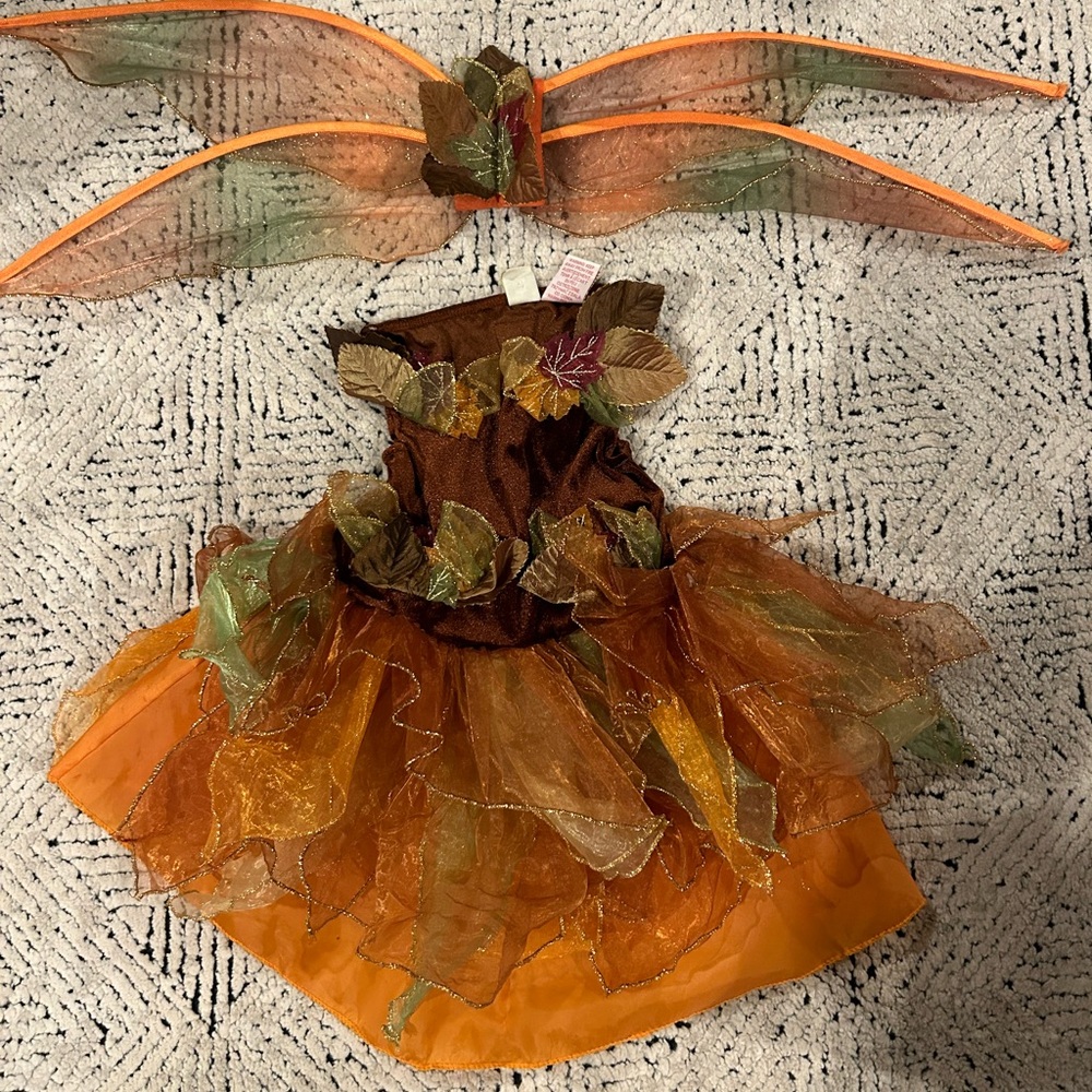Fairy costume